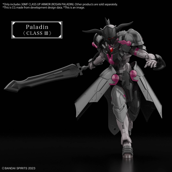 Load image into Gallery viewer, 30 Minutes Fantasy - Class Up Armor (Rosan Paladin)

