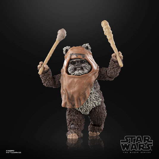 Star Wars The Black Series - Wicket W. Warrick (Return of the Jedi)