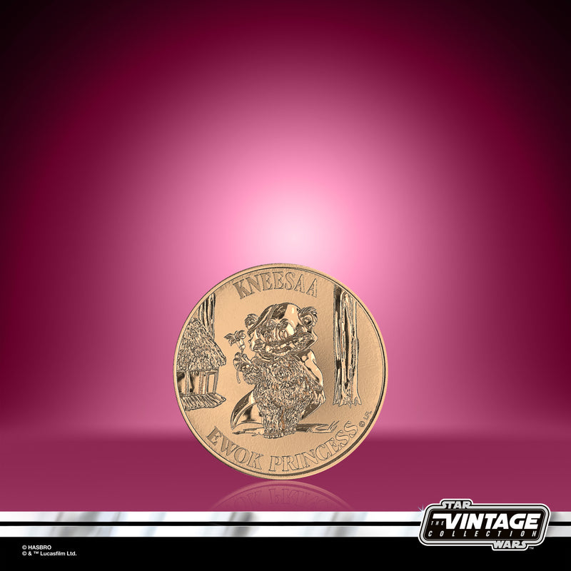 Load image into Gallery viewer, Hasbro - Star Wars The Vintage Collection - Wicket and Kneesaa 3 3/4-Inch Action Figures