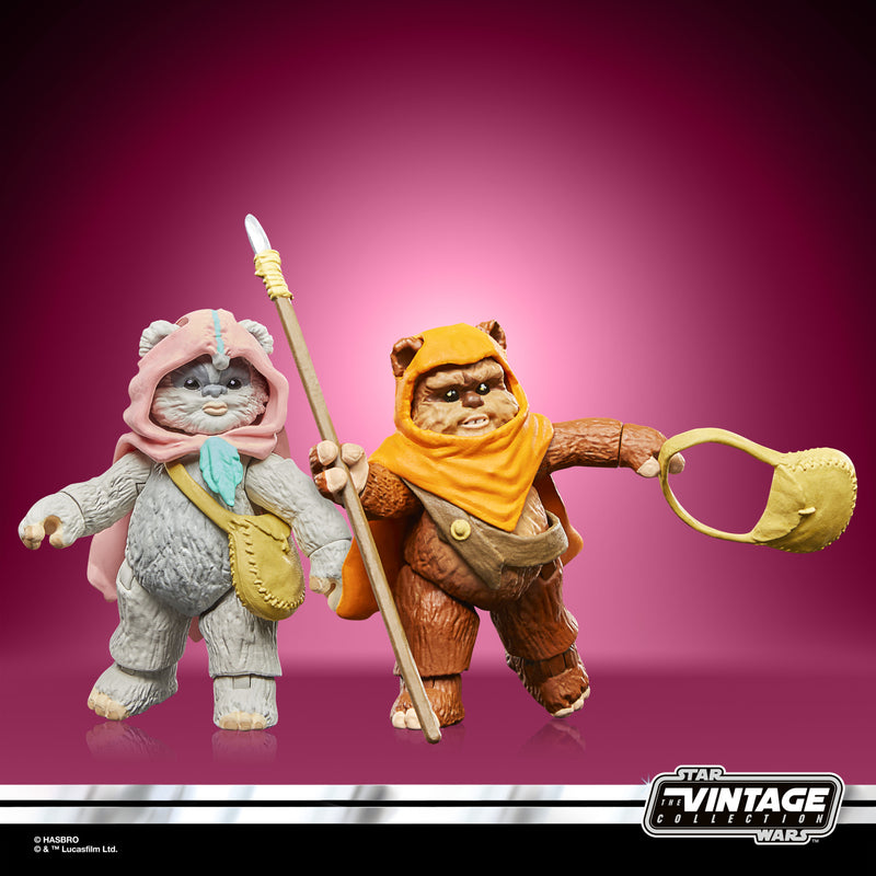 Load image into Gallery viewer, Hasbro - Star Wars The Vintage Collection - Wicket and Kneesaa 3 3/4-Inch Action Figures