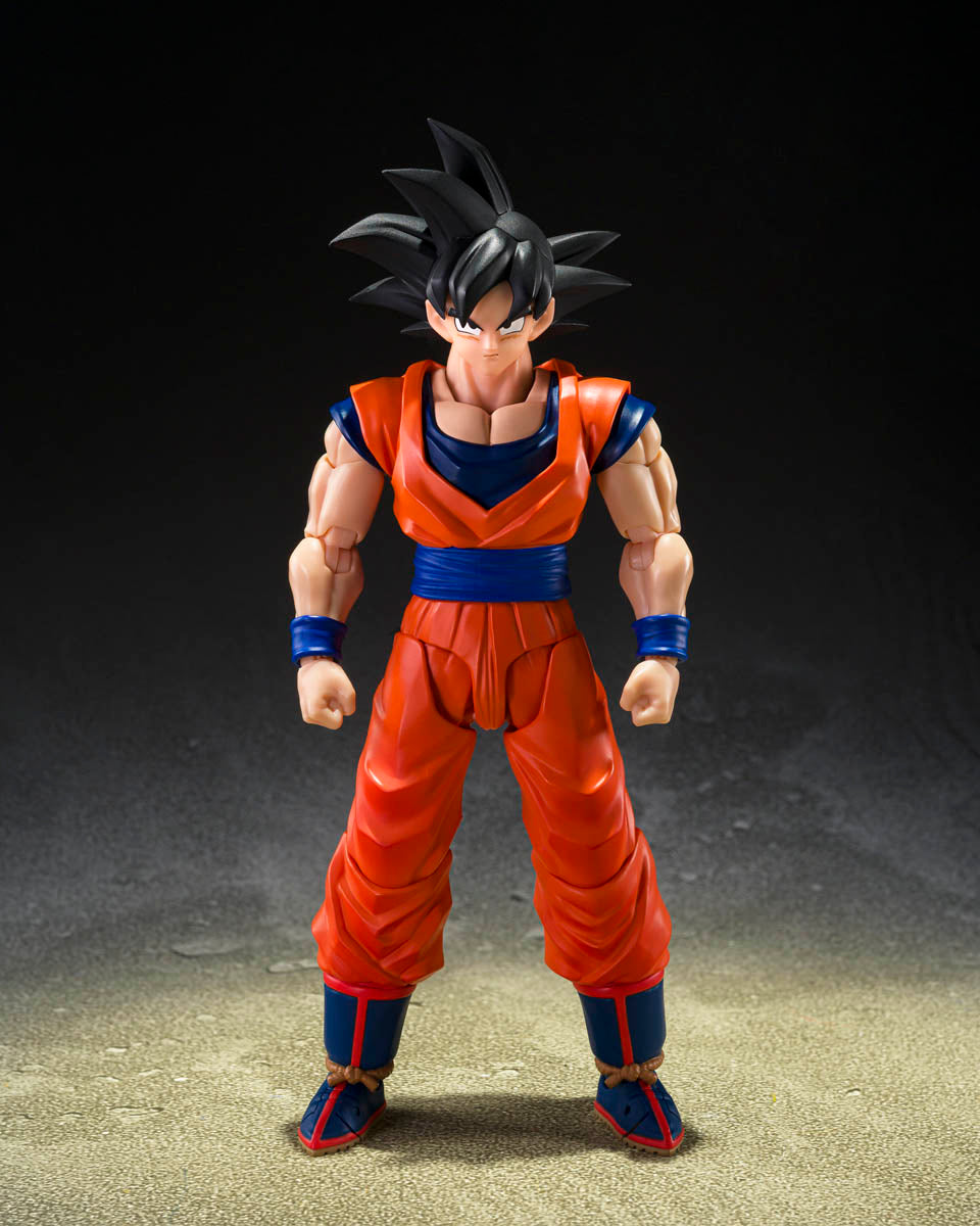 SHFSONGOKU_THEKIND-