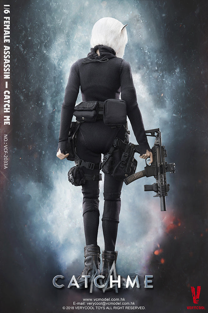 Load image into Gallery viewer, Very Cool - Female Assassin "Catch Me" Normal Head