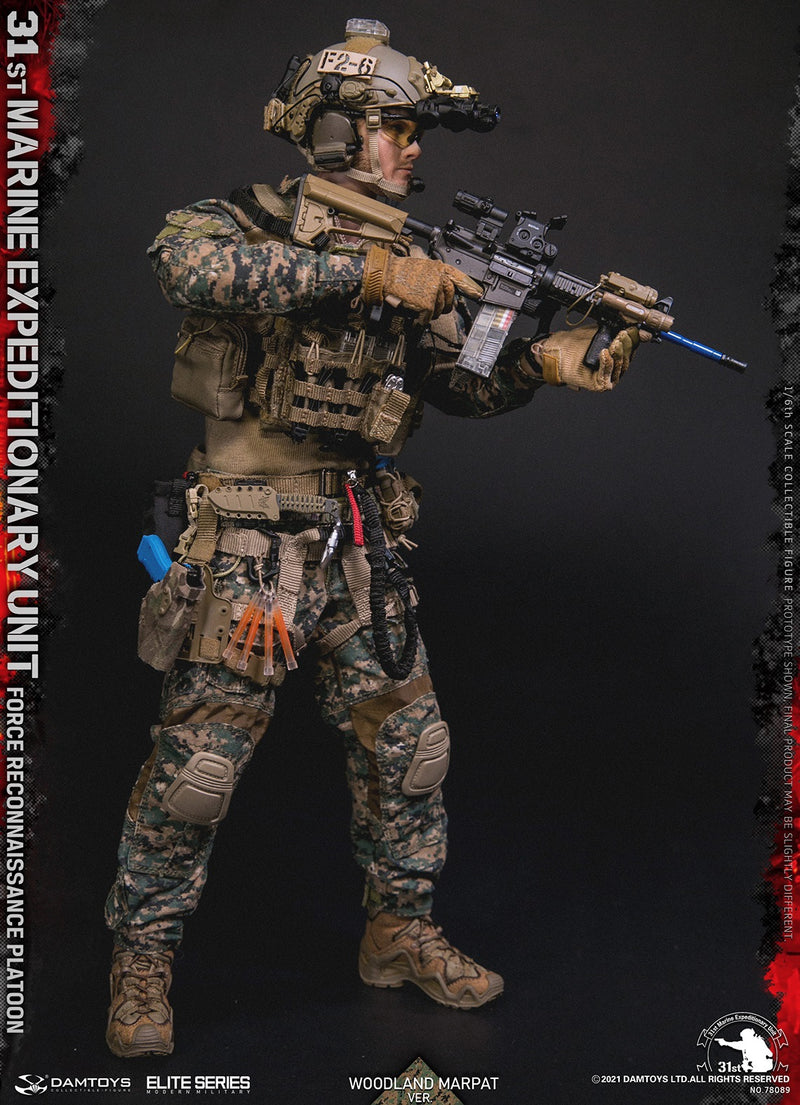 Load image into Gallery viewer, DAM Toys -31st Marine Expeditionary Unit Force Reconnaissance Platoon (Woodland Marpat Ver)