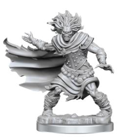 WizKids - Dungeons and Dragons Frameworks: Wight