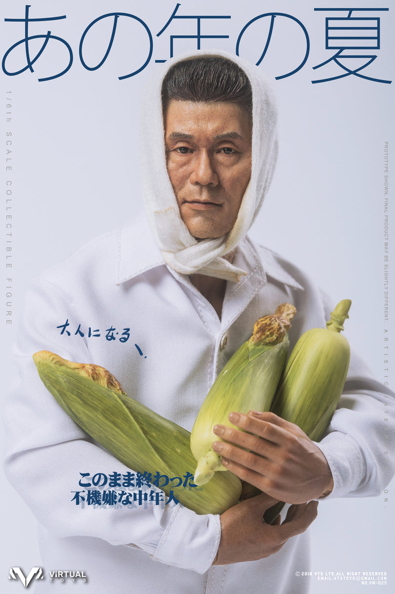 Load image into Gallery viewer, VTS Toys - Once The Summer