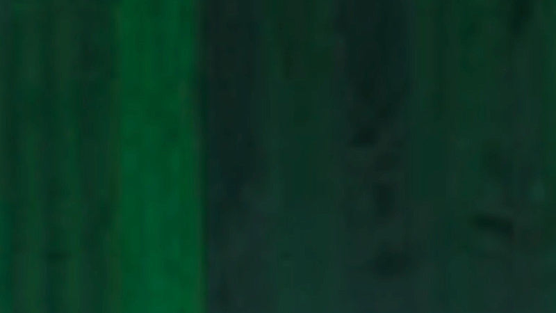 Load image into Gallery viewer, Vallejo - Dark Green
