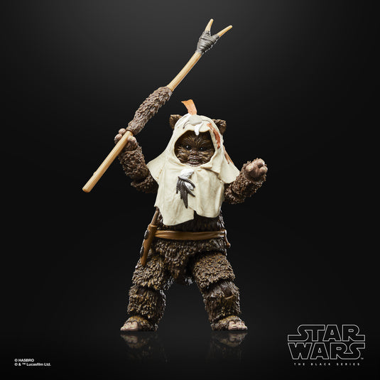 Star Wars The Black Series: Return of the Jedi 40th Anniversary - Paploo