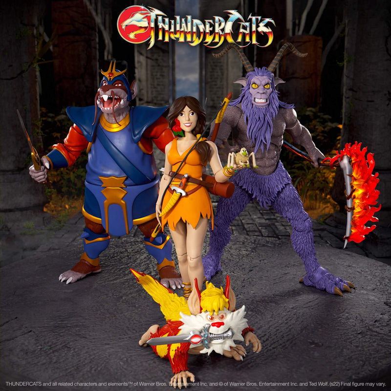 Load image into Gallery viewer, Super 7 - Thundercats Ultimates Wave 7 set of 4
