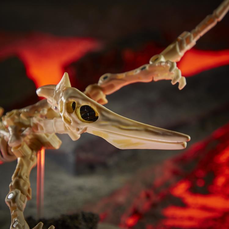 Load image into Gallery viewer, Transformers War for Cybertron: Kingdom - Deluxe Wave 3 Set of 4 (2nd Shipment)