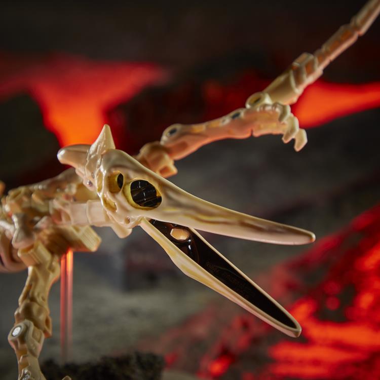 Load image into Gallery viewer, Transformers War for Cybertron: Kingdom - Deluxe Wave 3 Set of 4 (2nd Shipment)