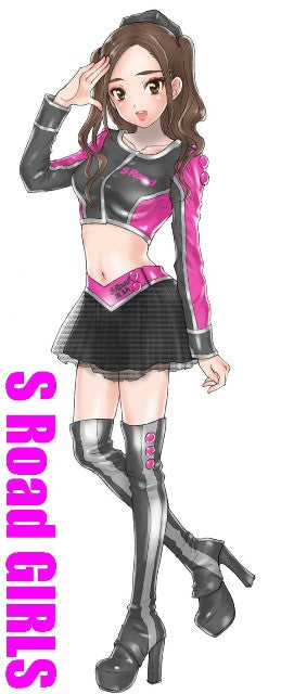 Load image into Gallery viewer, Alternity Transformers x Super GT 03 GTR Megatron