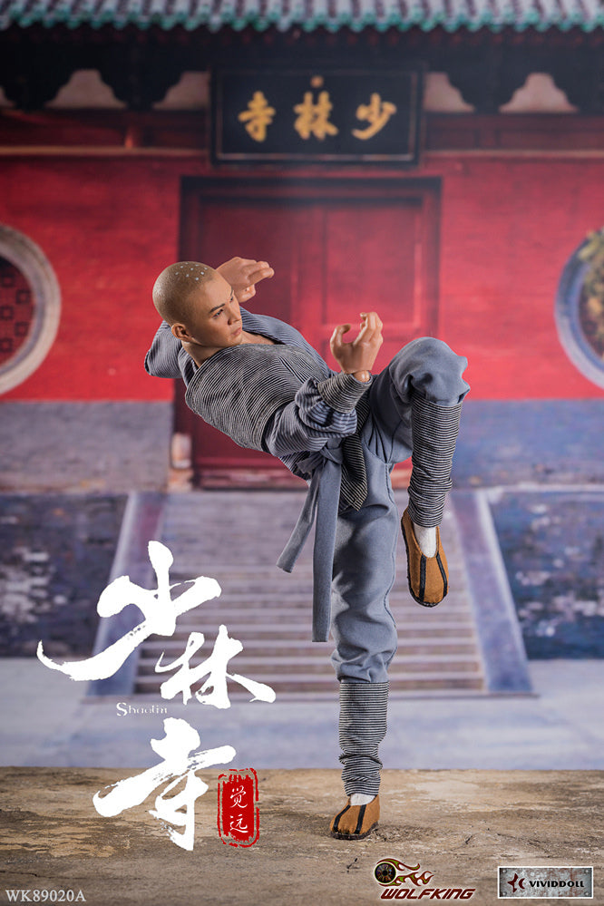 Load image into Gallery viewer, Wolf King - Shaolin Temple: Juyuan