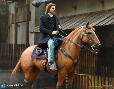 DID - 1/6 Brown-Red War Horse (Standing)