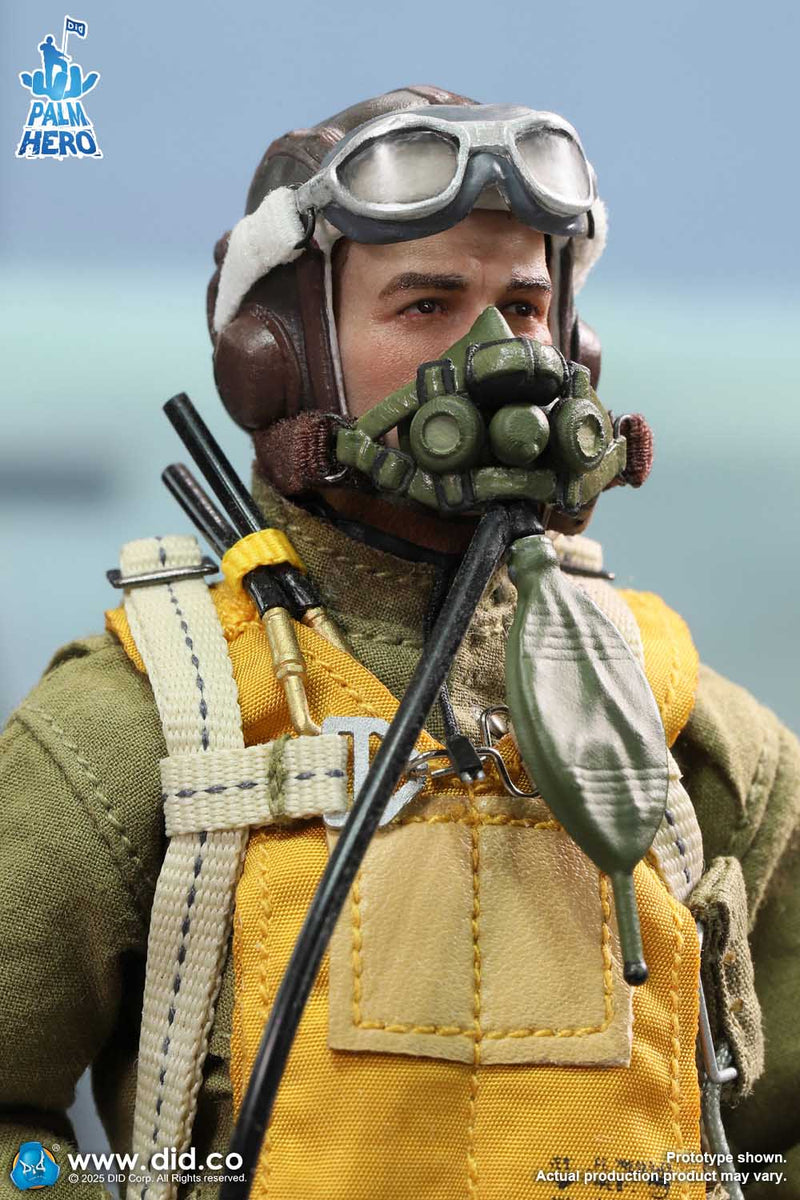 Load image into Gallery viewer, DID - 1/12 Palm Hero Series WWII US Army Air Force Pilot - Captain Rafe
