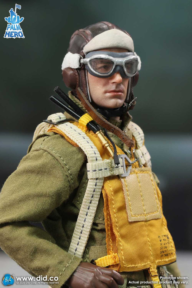 Load image into Gallery viewer, DID - 1/12 Palm Hero Series WWII US Army Air Force Pilot - Captain Rafe
