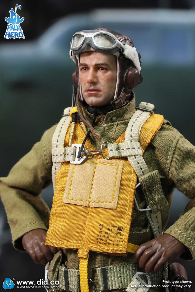 Load image into Gallery viewer, DID - 1/12 Palm Hero Series WWII US Army Air Force Pilot - Captain Rafe
