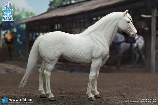 DID - 1/12 Palm Hero Series - White Horse