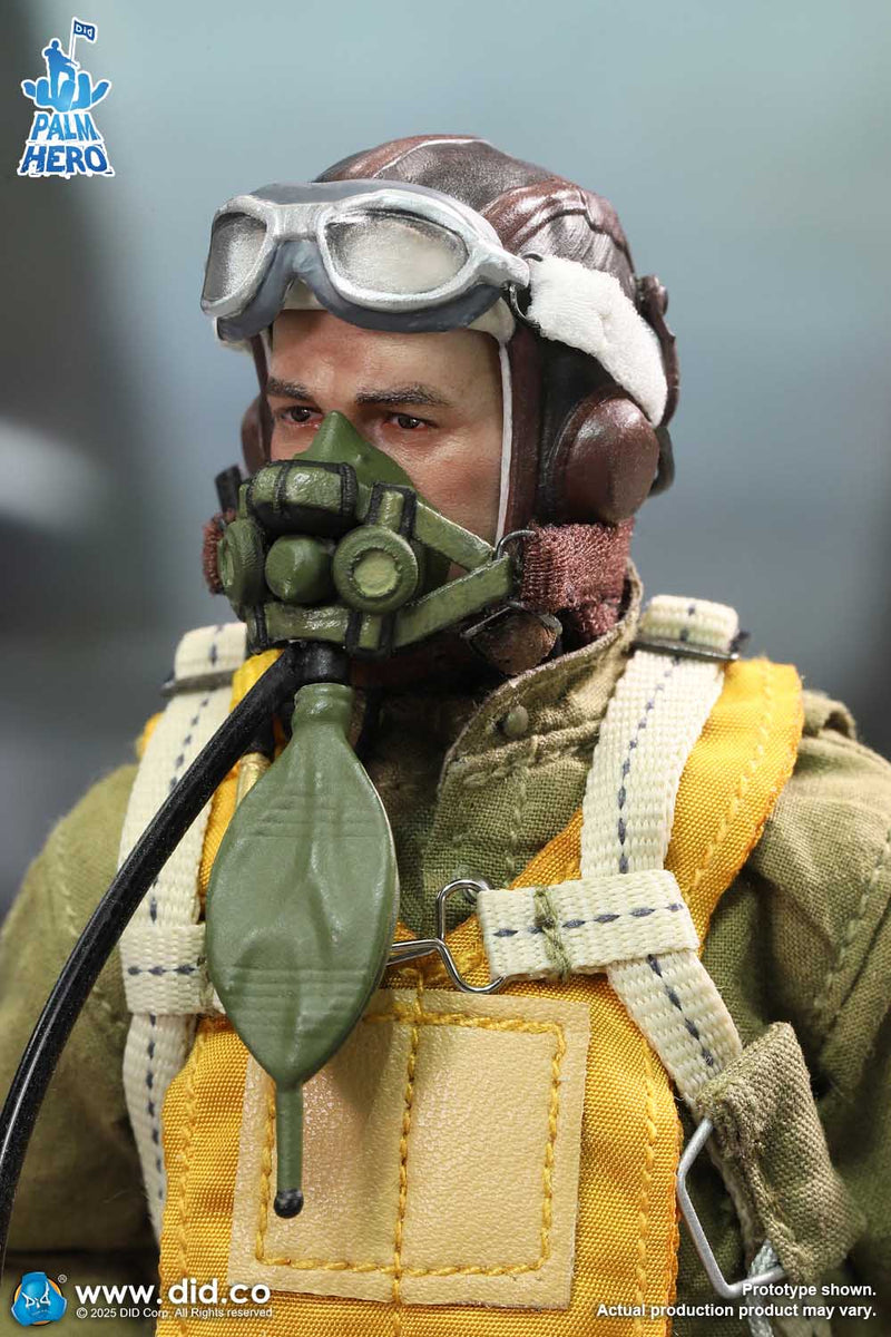 Load image into Gallery viewer, DID - 1/12 Palm Hero Series WWII US Army Air Force Pilot - Captain Rafe

