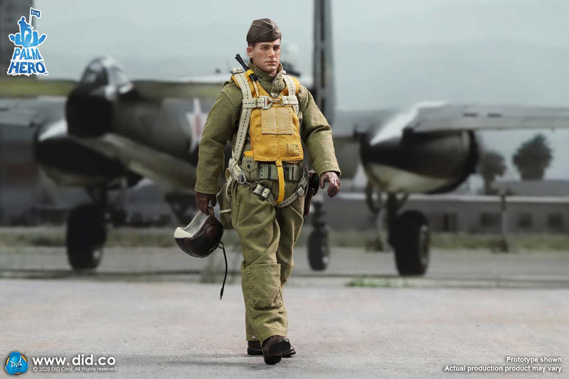 Load image into Gallery viewer, DID - 1/12 Palm Hero Series WWII US Army Air Force Pilot - Captain Rafe
