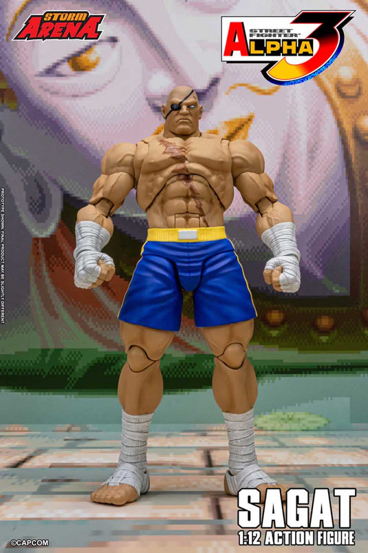 Storm Collectibles - Storm Arena: Street Fighter Alpha 3 - Sagat 1/12 Scale