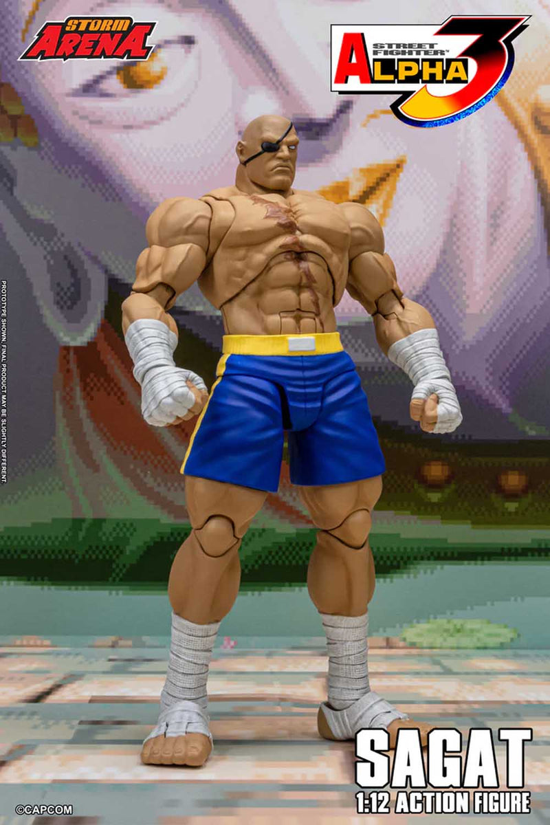 Load image into Gallery viewer, Storm Collectibles - Storm Arena: Street Fighter Alpha 3 - Sagat 1/12 Scale
