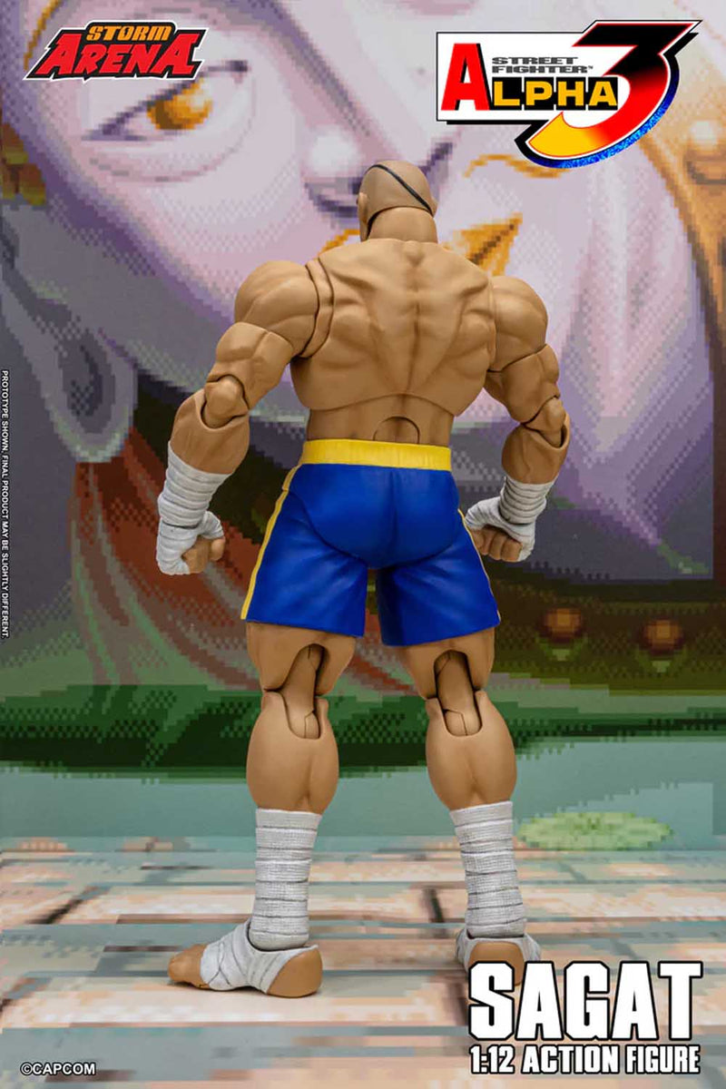 Load image into Gallery viewer, Storm Collectibles - Storm Arena: Street Fighter Alpha 3 - Sagat 1/12 Scale
