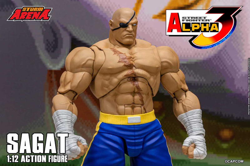 Load image into Gallery viewer, Storm Collectibles - Storm Arena: Street Fighter Alpha 3 - Sagat 1/12 Scale
