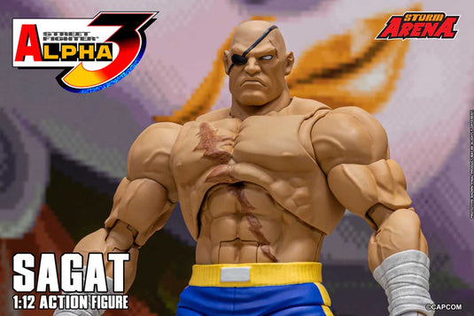 Storm Collectibles - Storm Arena: Street Fighter Alpha 3 - Sagat 1/12 Scale