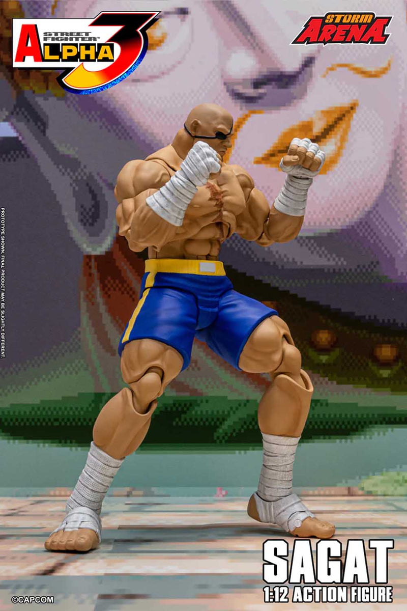 Load image into Gallery viewer, Storm Collectibles - Storm Arena: Street Fighter Alpha 3 - Sagat 1/12 Scale
