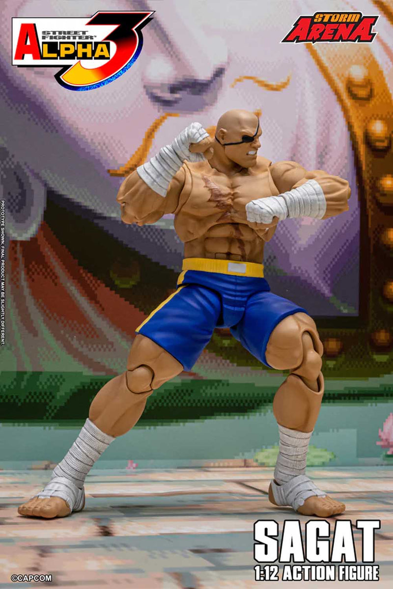 Load image into Gallery viewer, Storm Collectibles - Storm Arena: Street Fighter Alpha 3 - Sagat 1/12 Scale
