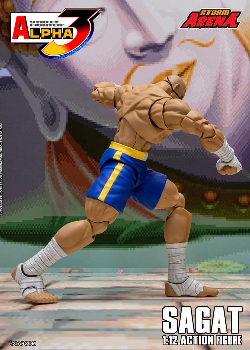 Load image into Gallery viewer, Storm Collectibles - Storm Arena: Street Fighter Alpha 3 - Sagat 1/12 Scale
