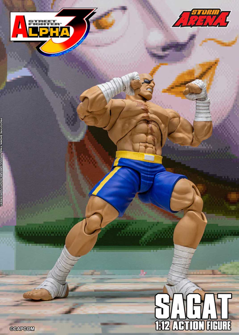 Load image into Gallery viewer, Storm Collectibles - Storm Arena: Street Fighter Alpha 3 - Sagat 1/12 Scale

