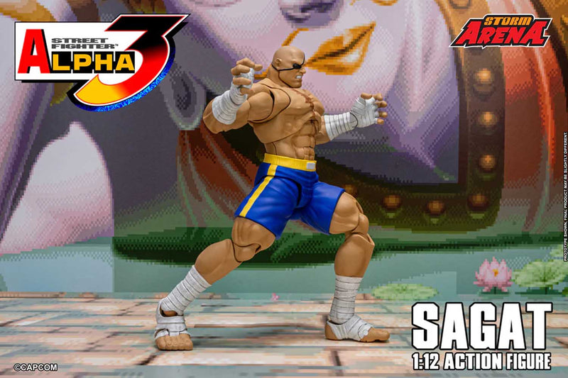 Load image into Gallery viewer, Storm Collectibles - Storm Arena: Street Fighter Alpha 3 - Sagat 1/12 Scale
