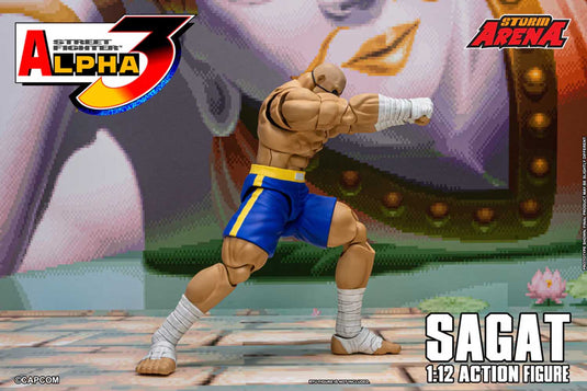 Storm Collectibles - Storm Arena: Street Fighter Alpha 3 - Sagat 1/12 Scale