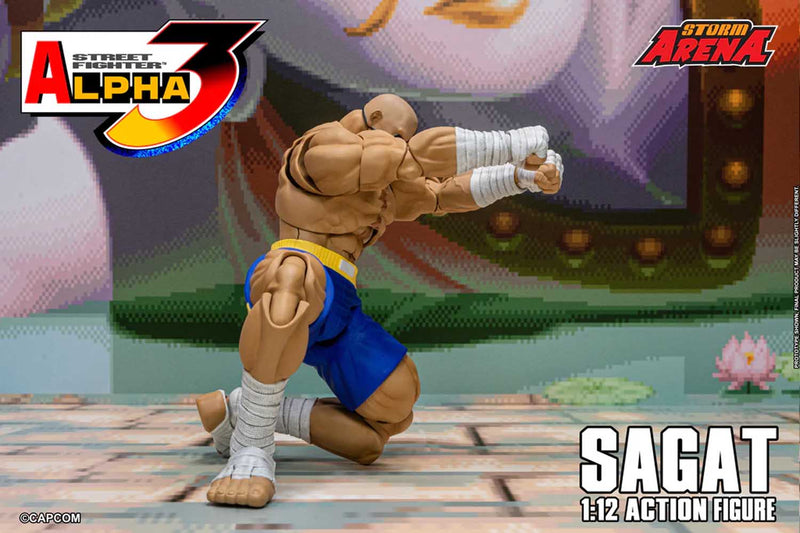 Load image into Gallery viewer, Storm Collectibles - Storm Arena: Street Fighter Alpha 3 - Sagat 1/12 Scale
