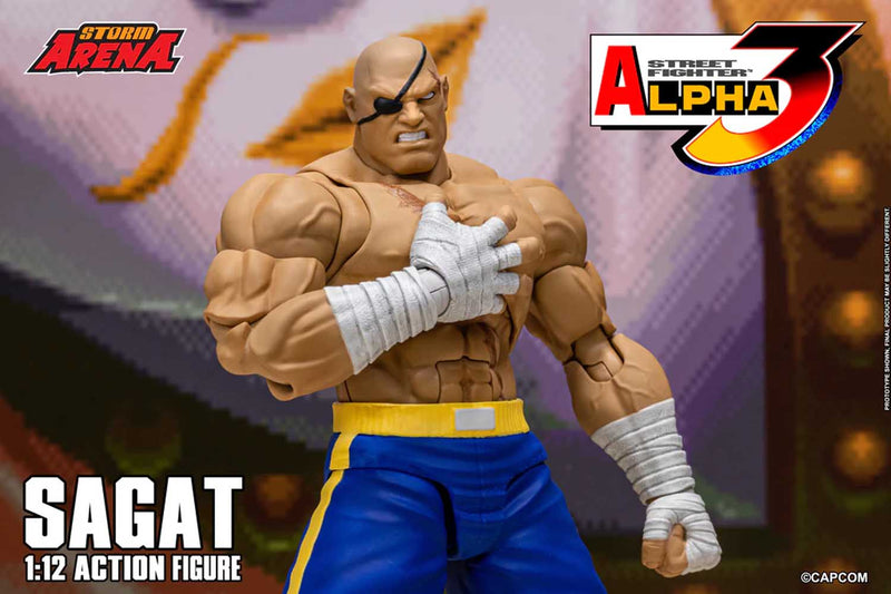 Load image into Gallery viewer, Storm Collectibles - Storm Arena: Street Fighter Alpha 3 - Sagat 1/12 Scale

