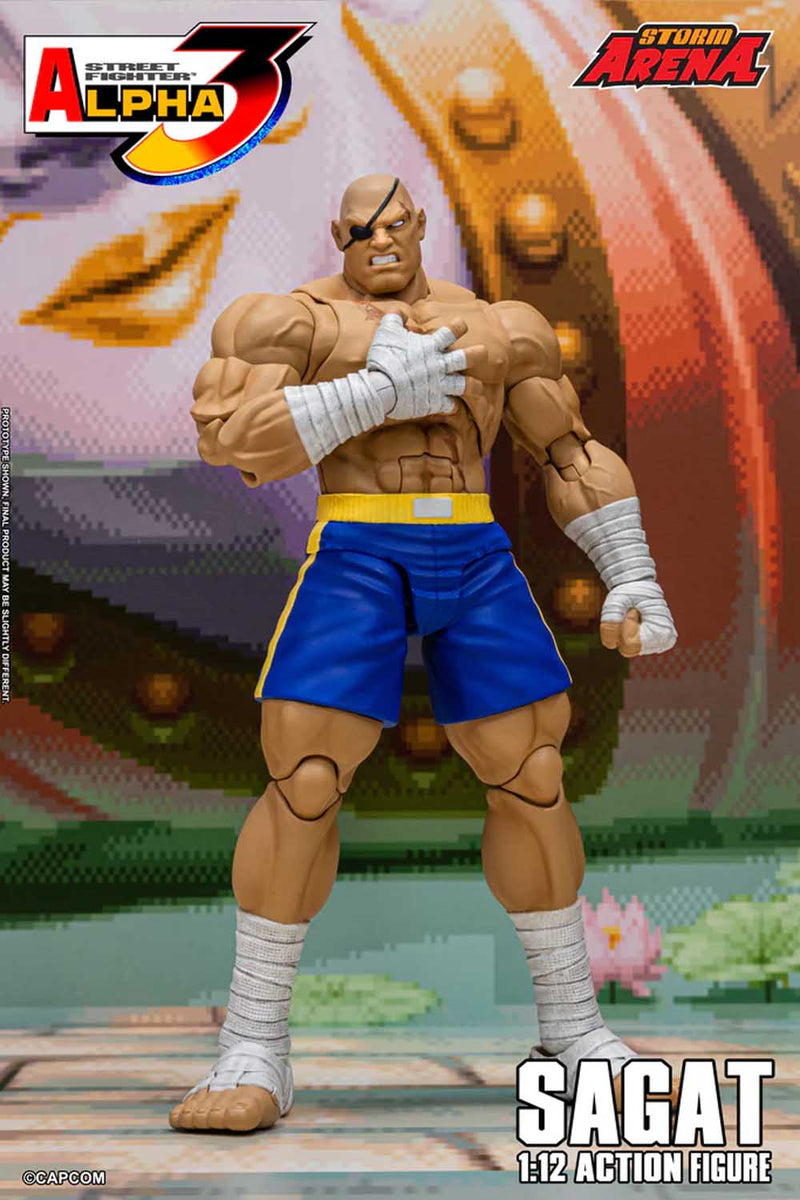 Load image into Gallery viewer, Storm Collectibles - Storm Arena: Street Fighter Alpha 3 - Sagat 1/12 Scale
