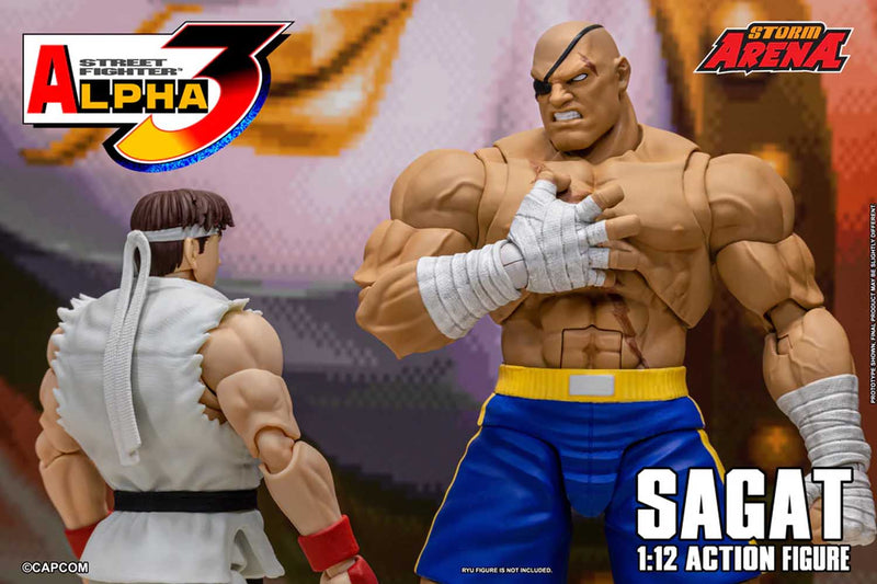 Load image into Gallery viewer, Storm Collectibles - Storm Arena: Street Fighter Alpha 3 - Sagat 1/12 Scale
