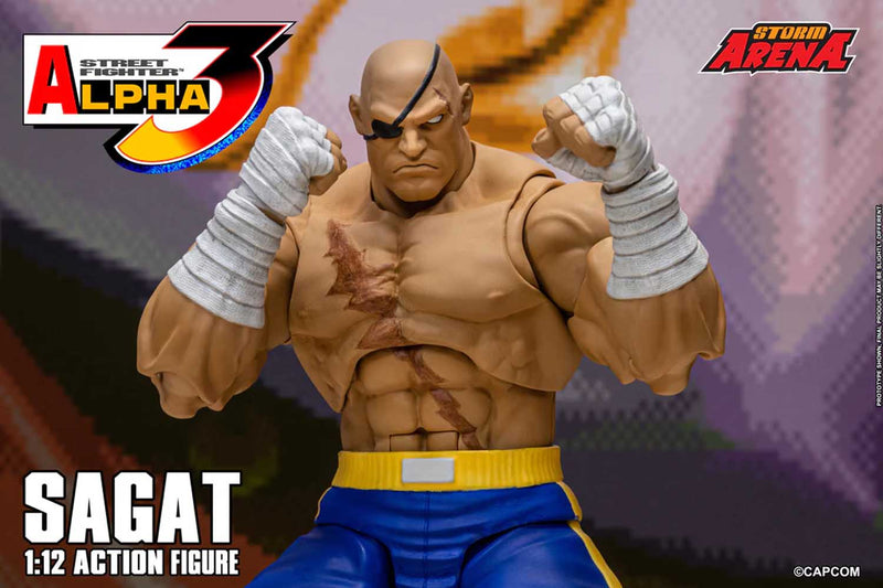 Load image into Gallery viewer, Storm Collectibles - Storm Arena: Street Fighter Alpha 3 - Sagat 1/12 Scale
