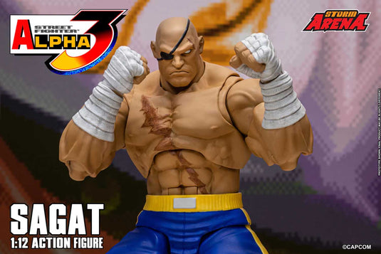 Storm Collectibles - Storm Arena: Street Fighter Alpha 3 - Sagat 1/12 Scale