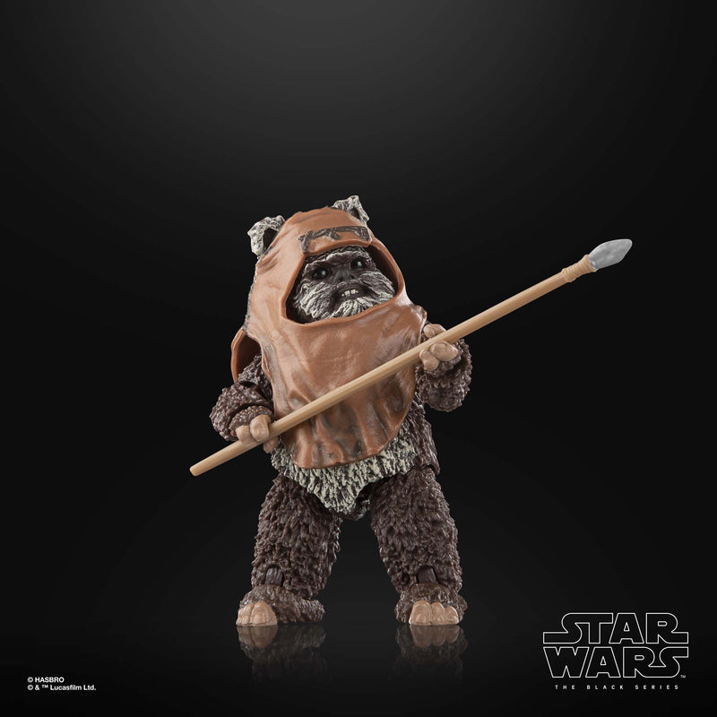 Load image into Gallery viewer, Star Wars The Black Series - Wicket W. Warrick (Return of the Jedi)
