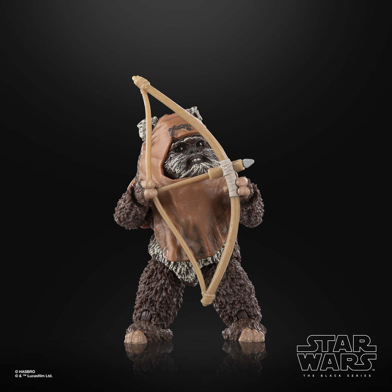 Load image into Gallery viewer, Star Wars The Black Series - Wicket W. Warrick (Return of the Jedi)
