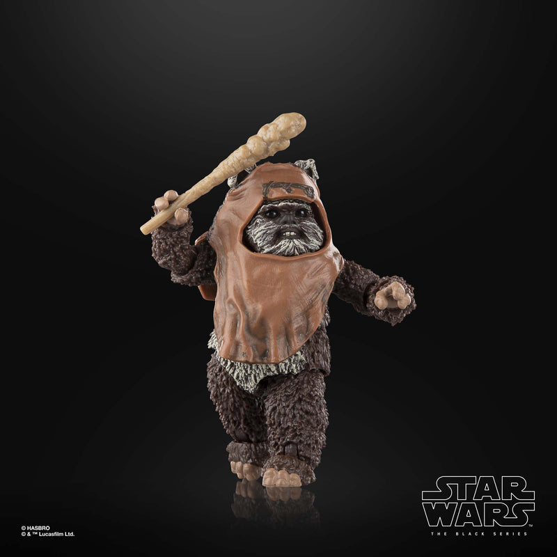 Load image into Gallery viewer, Star Wars The Black Series - Wicket W. Warrick (Return of the Jedi)
