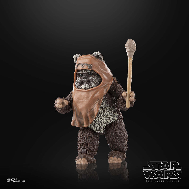 Load image into Gallery viewer, Star Wars The Black Series - Wicket W. Warrick (Return of the Jedi)
