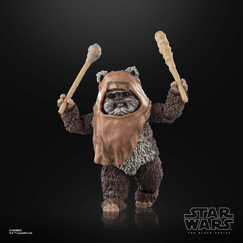 Load image into Gallery viewer, Star Wars The Black Series - Wicket W. Warrick (Return of the Jedi)
