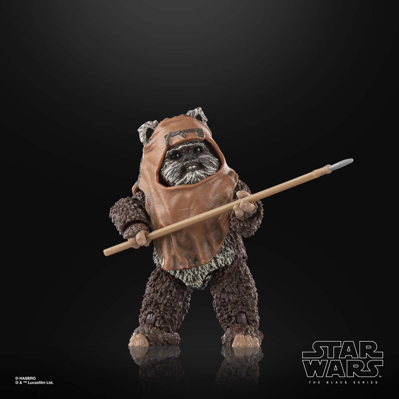 Load image into Gallery viewer, Star Wars The Black Series - Wicket W. Warrick (Return of the Jedi)
