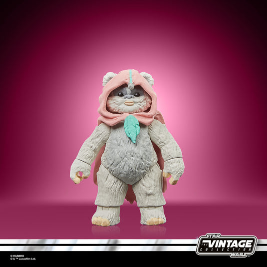 Hasbro - Star Wars The Vintage Collection - Wicket and Kneesaa 3 3/4-Inch Action Figures