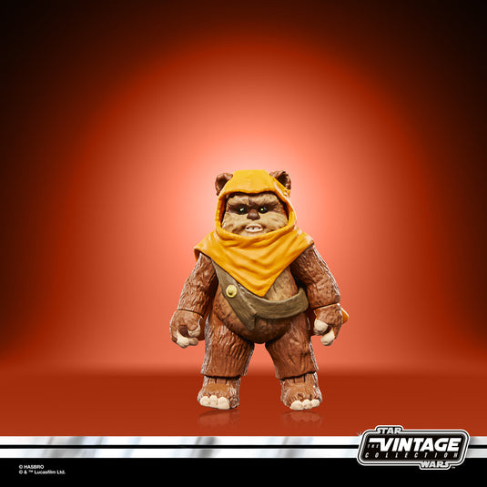 Hasbro - Star Wars The Vintage Collection - Wicket and Kneesaa 3 3/4-Inch Action Figures