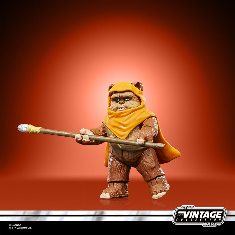 Load image into Gallery viewer, Hasbro - Star Wars The Vintage Collection - Wicket and Kneesaa 3 3/4-Inch Action Figures
