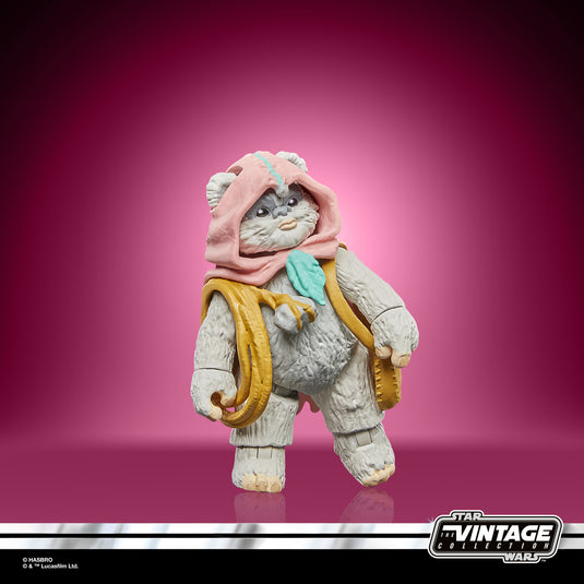 Hasbro - Star Wars The Vintage Collection - Wicket and Kneesaa 3 3/4-Inch Action Figures